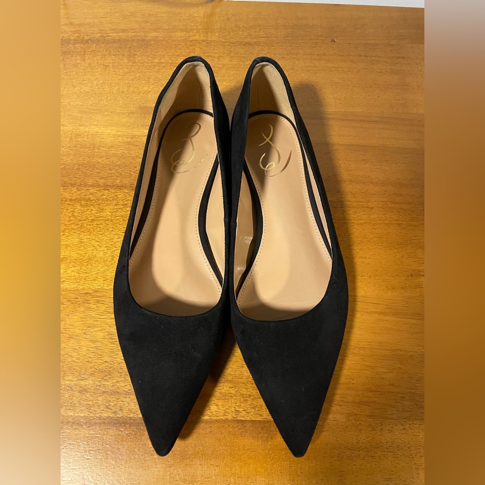 EUC Sam Edelman Pointed Toe Flats